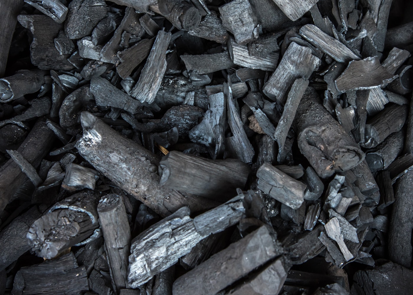 Biochar Wood