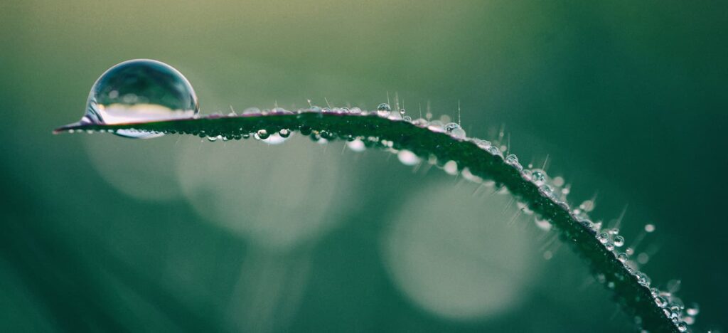 Water Conservation
