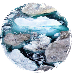 Climate Change Reduction Button