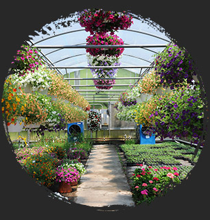 garden center biochar